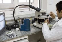 Argentina exportará sêmen bovino de qualidade para o Paquistão