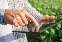 Ya opera el SISA para producción y comercio de granos