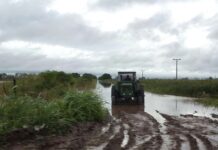 Gobierno oficializó la emergencia agropecuaria para provincias inundadas