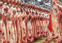 Abren el registro para acceder a la cuota de carne bovina a los EE.UU.