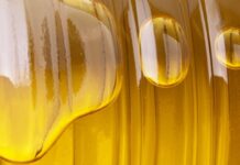Argentina vuelve a exportar biodiesel a la Unión Europea