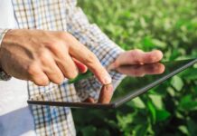 SISA: Los productores deben cargar sus datos en febrero para la cosecha gruesa