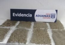 Aduanas detectó a 12 pasajeros con droga en el norte de Chile
