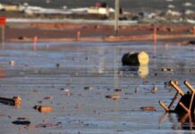 Argentina se solidarizó con Chile y Perú por el temporal