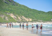 Recomendaciones para prevenir la fiebre amarilla detectada en el sur de Brasil