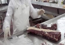 A distancia: Exportadores pueden solicitar prórroga extraordinaria de DJVE