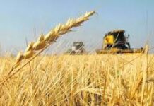 Balanza comercial argentina tuvo un superávit en enero