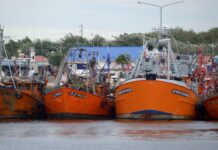 Gobierno promueve renovación de flota de buques pesqueros