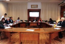 Argentina, Uruguay y Chile coordinan estrategia común para atraer cruceros