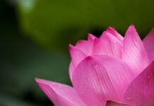 8 de março: Dia Internacional da Mulher