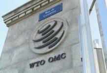 China: OMC necesita reformas y mejoras en lugar de reinventarse