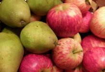 Argentina, principal exportador de peras y manzanas orgánicas a UE