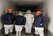 Se realizó la primera exportación de cordero argentino a Japón