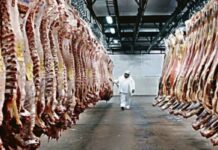 Gobierno asigna la cuota Hilton 2019/20