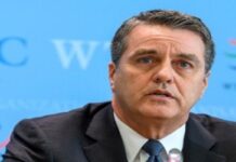 OMC advierte del aumento de barreras comerciales antes de la cumbre del G20