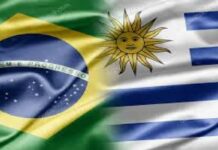 Brasil y Uruguay: Una mirada desde sus exportaciones
