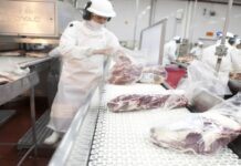 Negri: «La Argentina genera confianza en los mercados más exigentes”