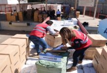 Aduanas de Chile incauta camión con contrabando en el paso de Colchane