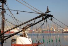 Puerto de Montevideo obtuvo certificación internacional Ecoports