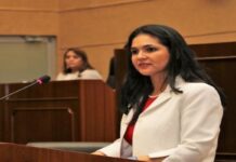 Panamá busca la interconexión tecnológica de mecanismos de gestión aduanera