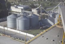 Argentina ingresará a China con su harina de soja
