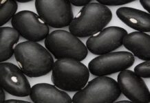 Poroto negro a Brasil: Se realizó el primer trámite de exportación 100% online