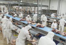 Senasa simplifica el proceso para habilitar un destino de exportación