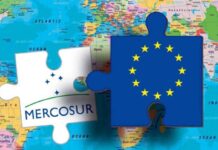 Parlamento austríaco obliga al Gobierno a vetar tratado comercial entre la Unión Europea y Mercosur