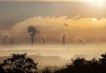 Autoridades ambientales y aduaneras unen fuerzas contra el daño ambiental