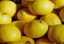 Llegó el primer embarque de limones argentinos a India