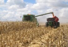 Reducen el plazo de las retenciones para algunos productos del campo
