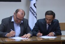 Argentina acordó con Qatar la exportación de semen y equinos en pie