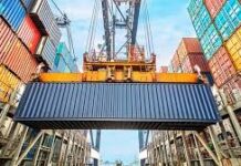 Argentina lidera la certificación digital para exportar productos vegetales