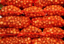 El Gobierno simplifica las operaciones para exportar cebolla fresca