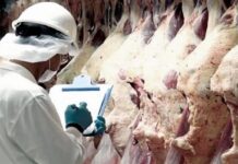 Se exportaron U$S 2.000 millones de carne bovina durante 2019