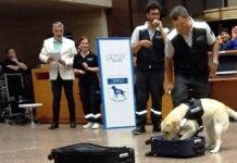 Participa de “La noche de los Museos” en la Afip