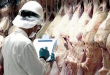 China habilita nuevos frigoríficos para exportación de carne argentina