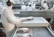 Argentina incrementa exportaciones de alimentos y bebidas en lo que va de año
