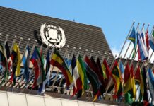 Argentina fue elegida para integrar el Consejo de la Organización Marítima Internacional