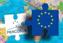 Fernández avala el acuerdo Mercosur-UE si «no afecta» a la industria argentina