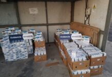 Chile: Aduanas detecta cigarrillos en camión con verduras
