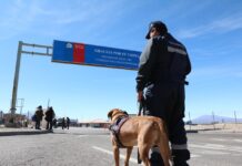 En 2020, aumenta un 14% el decomiso de drogas en el norte chileno