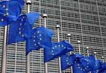 «El mayor uso de la propiedad intelectual daría riqueza a Europa», afirma director belga