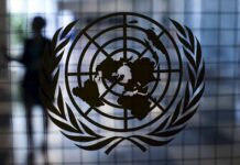 La economía global se expandirá 2,5% en 2020, según Naciones Unidas