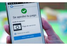 Unidade financeira do Mercado Livre lançará negócios de cartões de crédito e débito em 2020