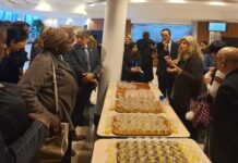 Consejo Oleícola Internacional fortalece su colaboración con la OMA