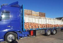 Chile: Aduanas detecta contrabando de cigarrillos en camión de cebollas