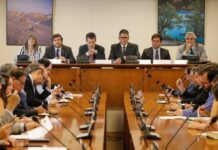 Chile: Aduanas implementa acciones de facilitación del comercio para enfrentar efectos por Coronavirus