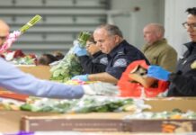 ¿Esperas flores el día de San Valentín? Los oficiales de aduanas de Miami reciben millones