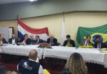 Paraguay y Brasil avanzan en facilitación del intercambio comercial